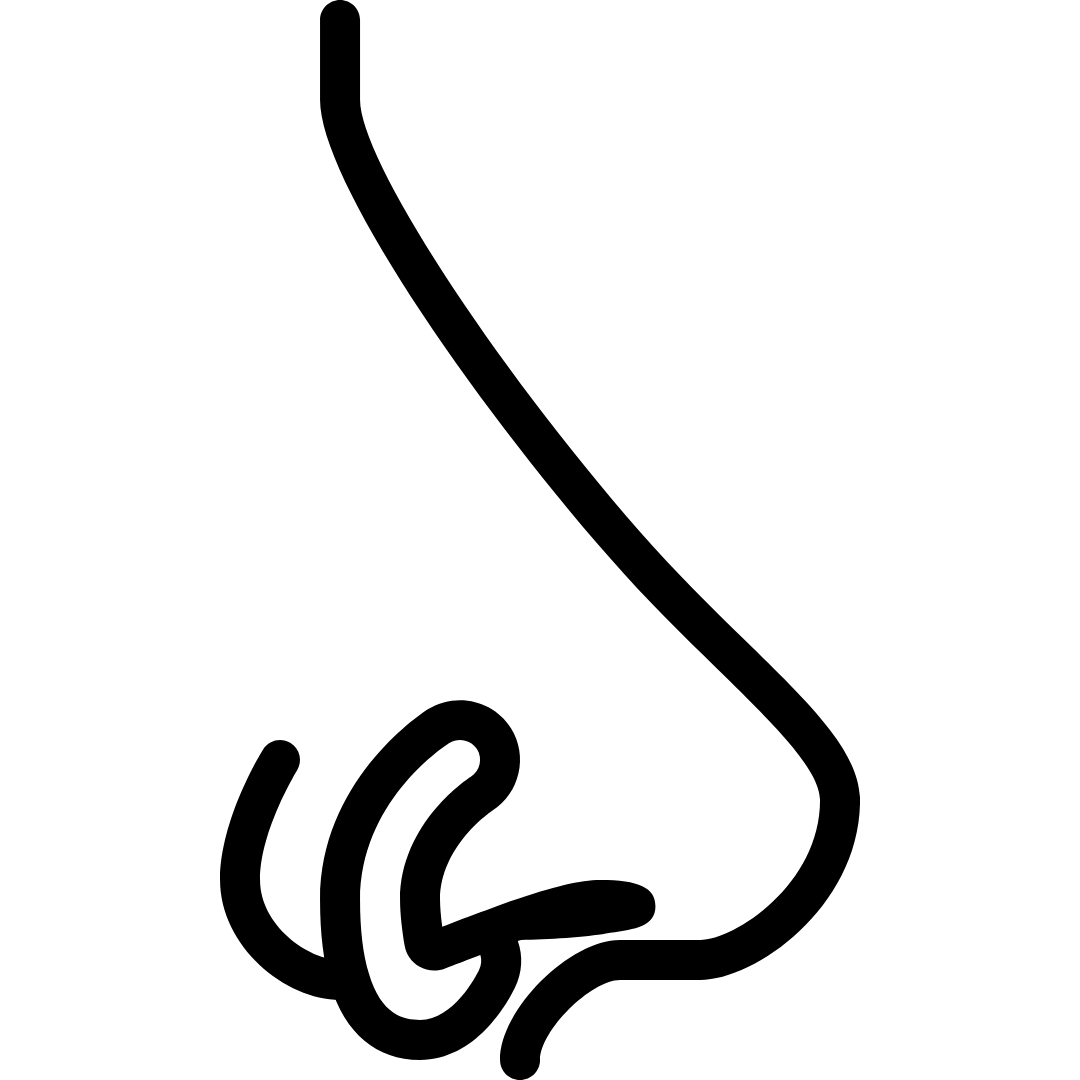 Nosepin